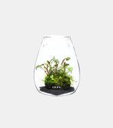 DOOA Glass Pot SHIZUKU #151-302